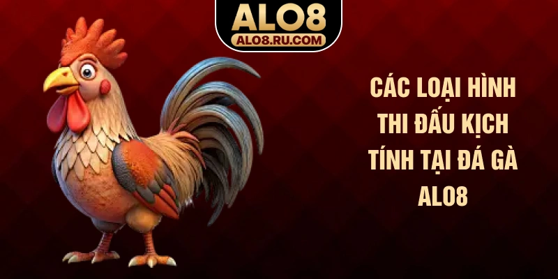 Các loại hình thi đấu kịch tính tại đá gà ALO8