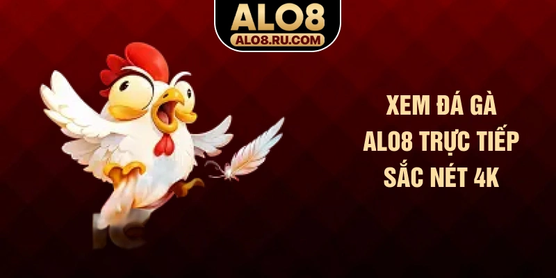 Xem đá gà ALO8 trực tiếp sắc nét 4K